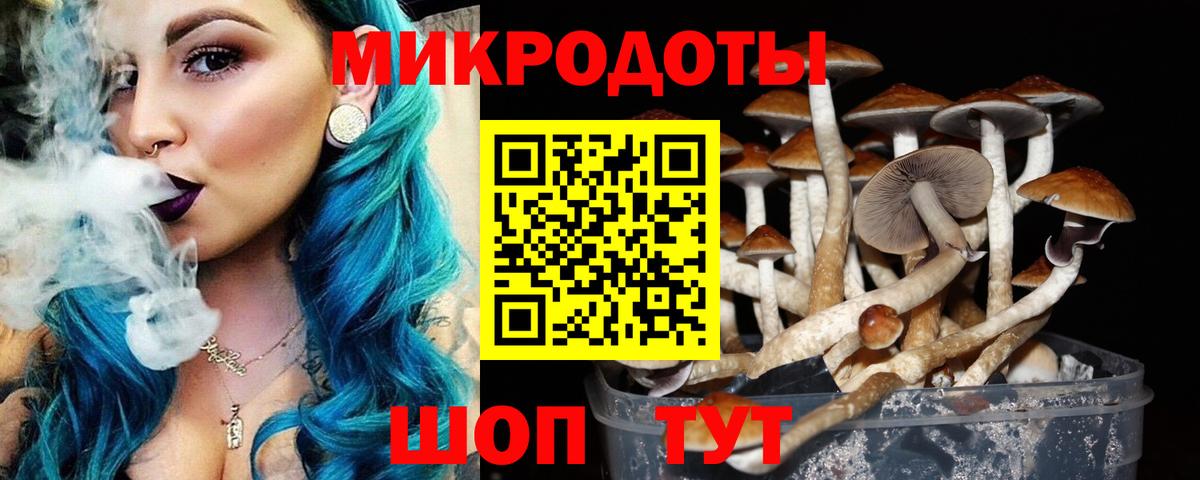 Галлюциногенные грибы MAGIC MUSHROOMS  Галлюциногенные грибы GOLDEN TEACHER  что такое наркотик  Аша  Вход с VPN 